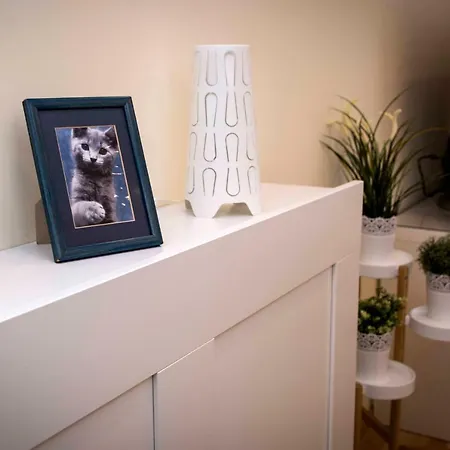 Apartament Amazing Apartment, Centre, Modern, Elegant, Cozy *