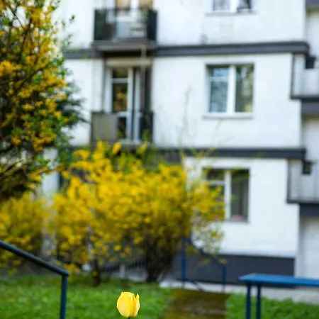 Amazing Apartment, Centre, Modern, Elegant, Cozy Apartament Kraków